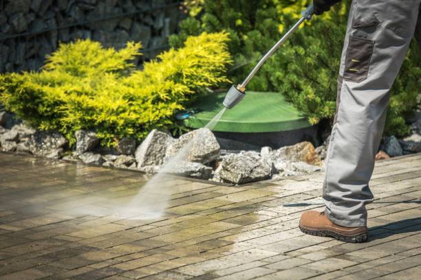 Best Playground Equipment Cleaning  in Waterville, NY