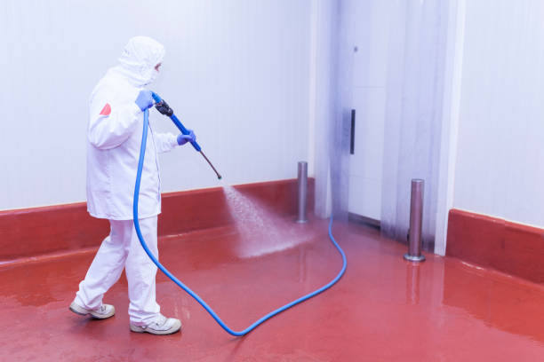 Best Boat and Dock Cleaning  in Waterville, NY